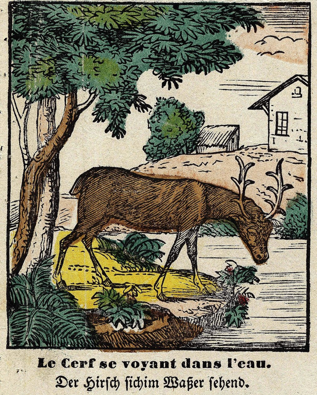 Fables from La Fontaine: the deer seeing themselves in the water by French School