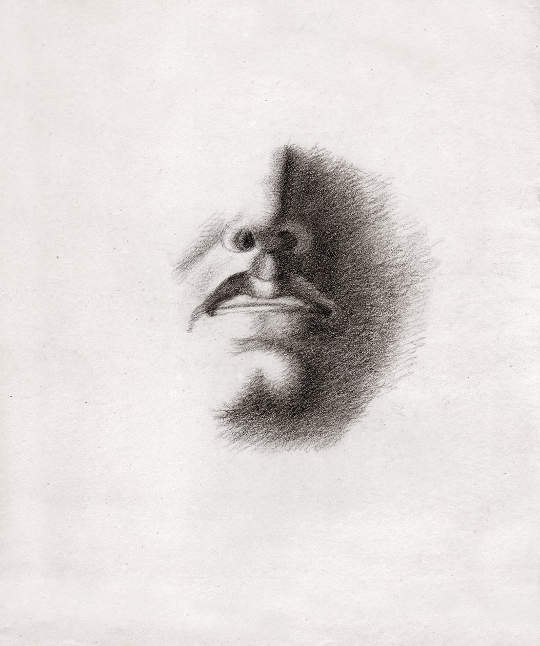 Face of a Man (drawing, circa 1830) by French School