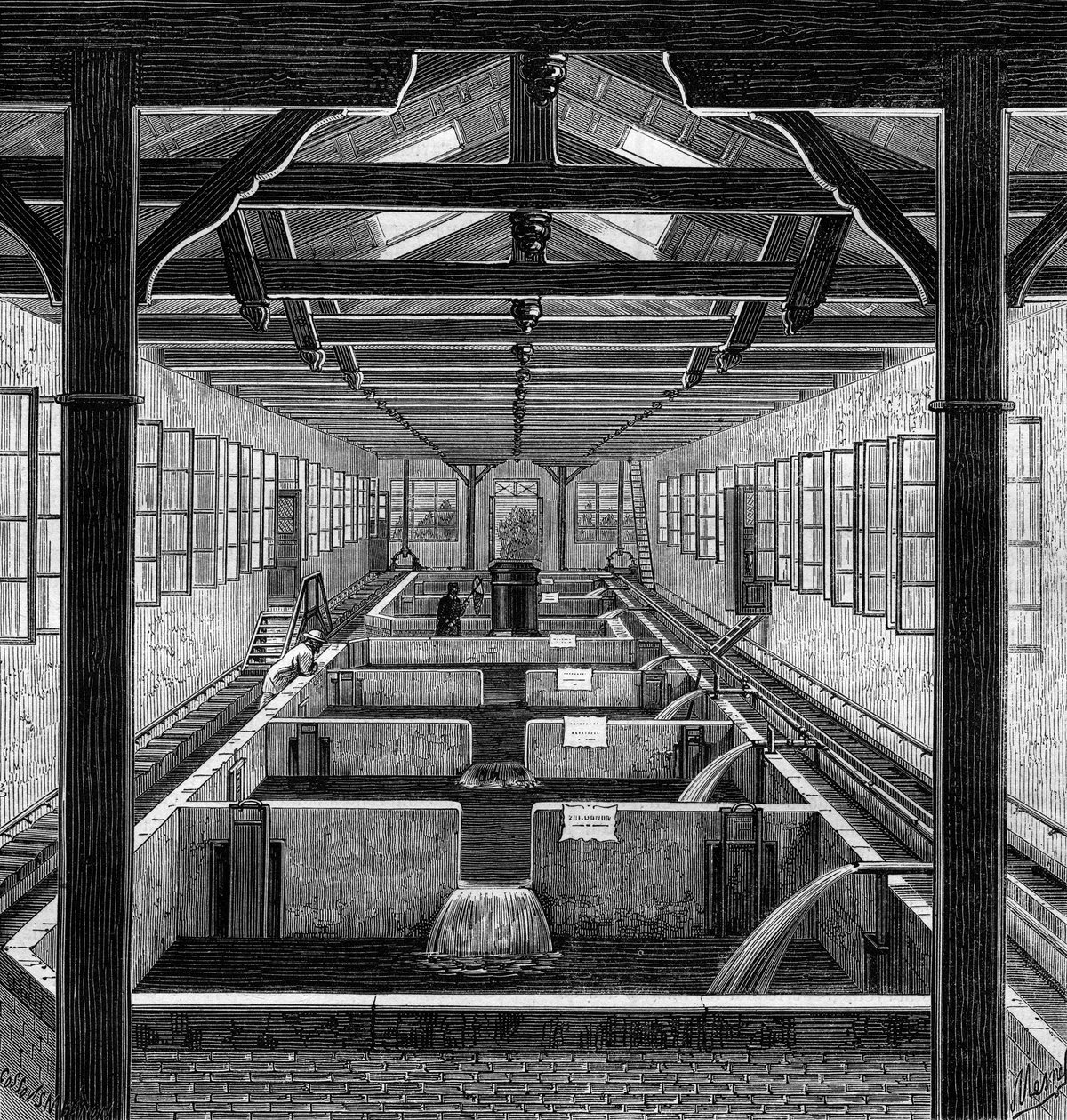 Fish farming: the farmed pools of fry in Huningue, Haut Rhin by French School
