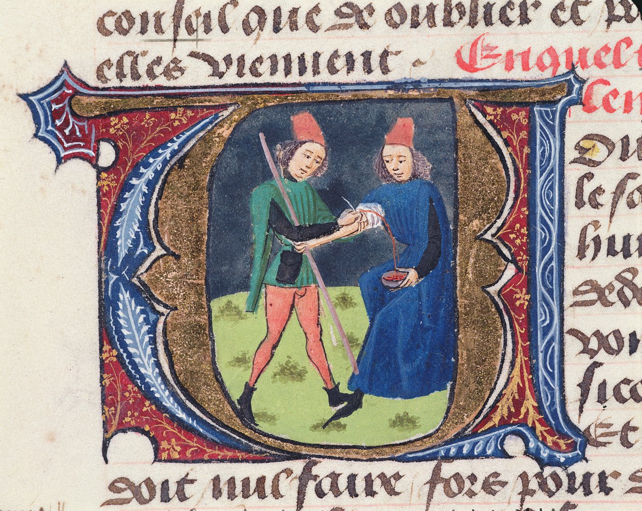 Bloodletting, from Traite de Medecine by Aldebrande de Florence, 1356 by French School