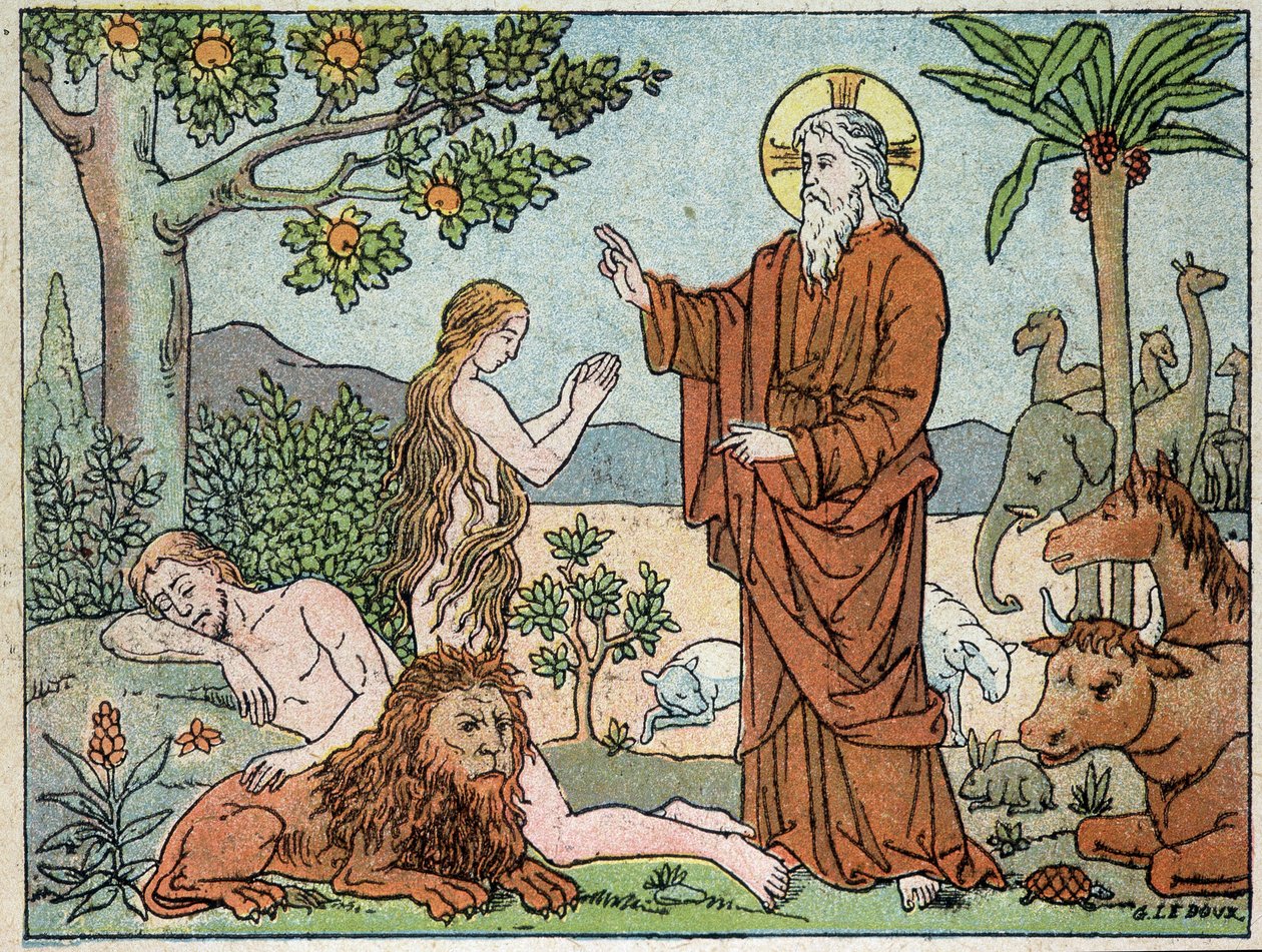 God: 6th day of creation - in 