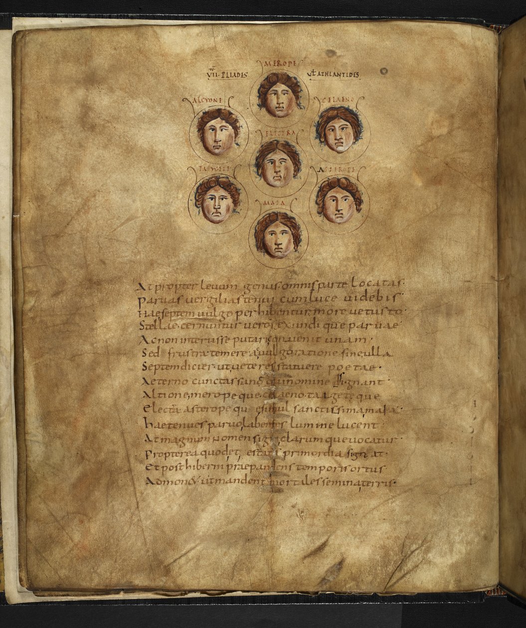 Illustration of the faces of the Pleiades, seven sisters who lived in the heavens as stars, with their names inscribed around them, from 