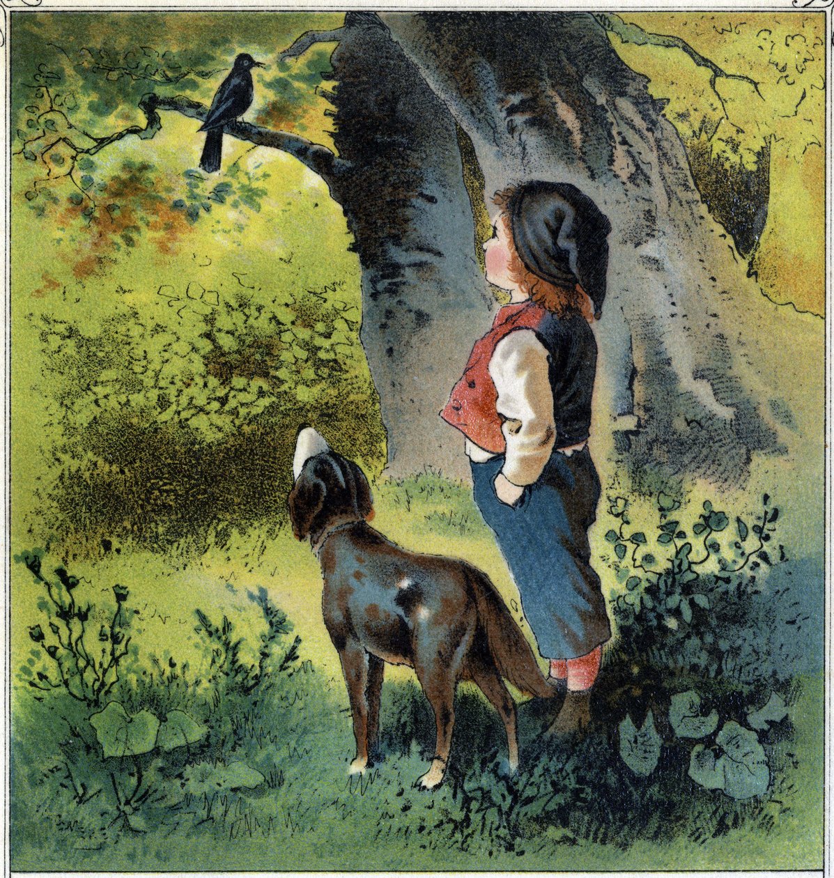 Henri observes a blackbird on a branch in the forest, imagining his life if he were a bird. From 
