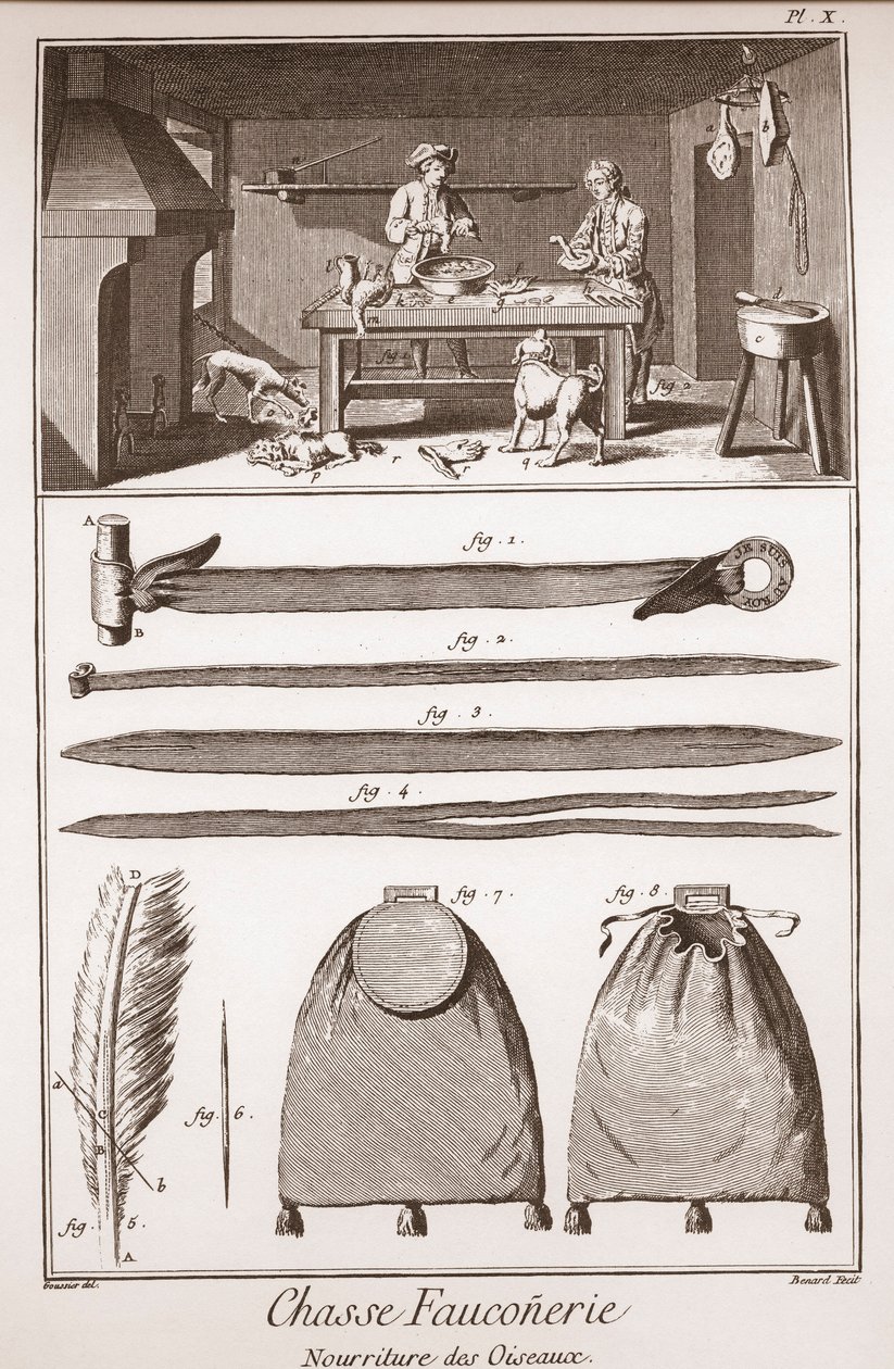 Hunting - Falconry - Food of birds - Engraving by Benard after Goussier - The Great Encyclopedie, or Dictionary of the Sciences, Arts and Professions by Denis Diderot by French School