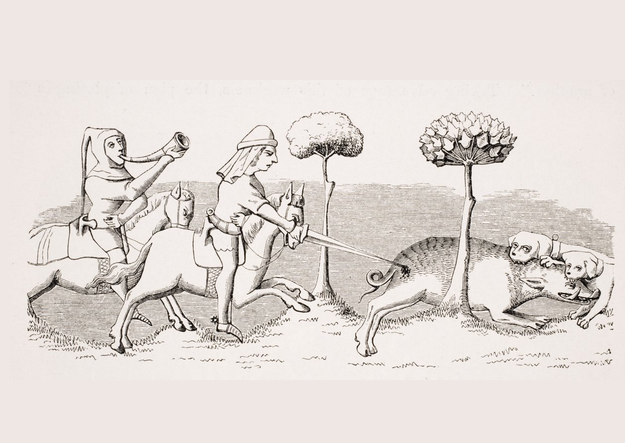 Hunting for wild boar with dogs, reproduction of a miniature in the 14th century manuscript 