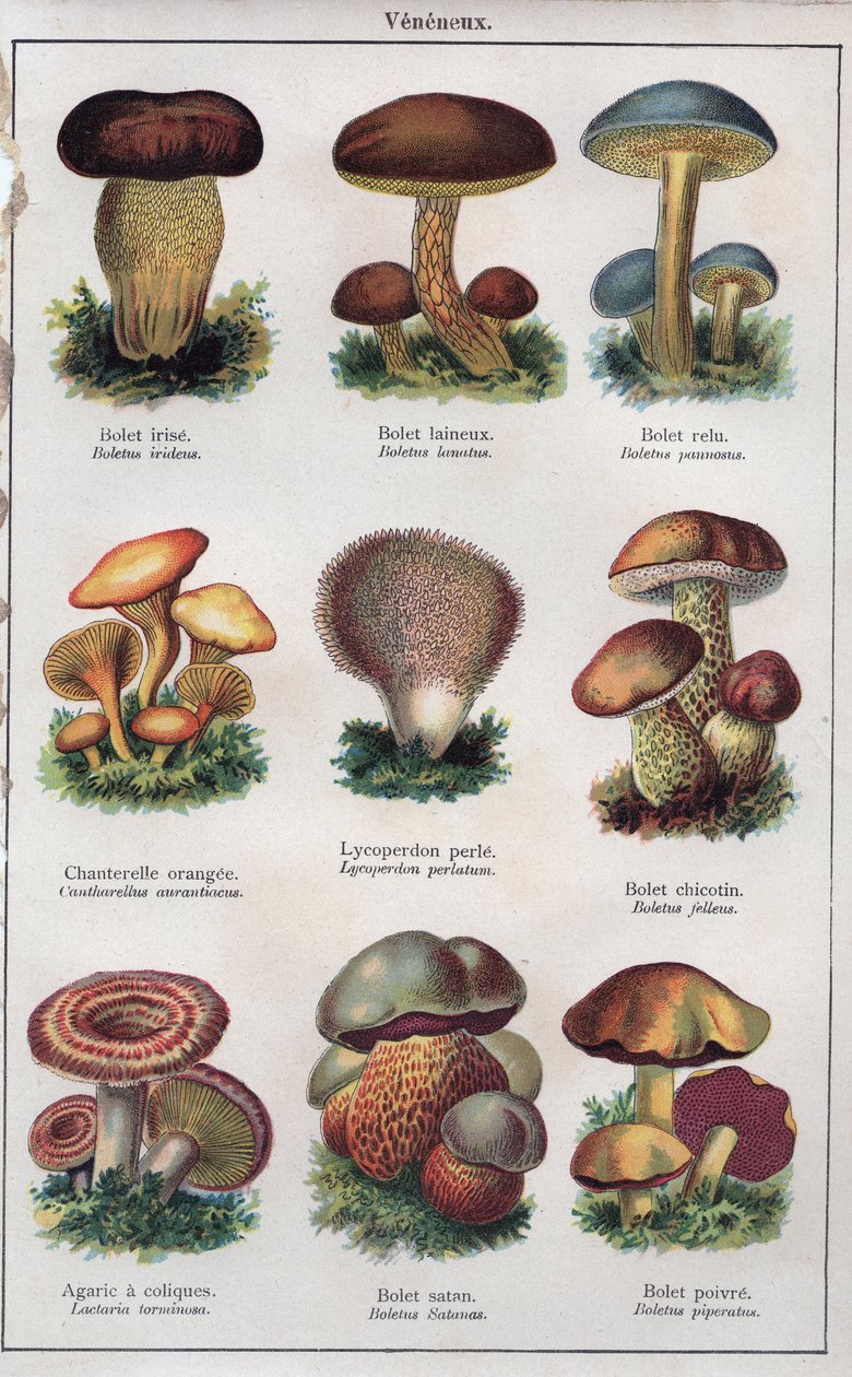 Illustration for 