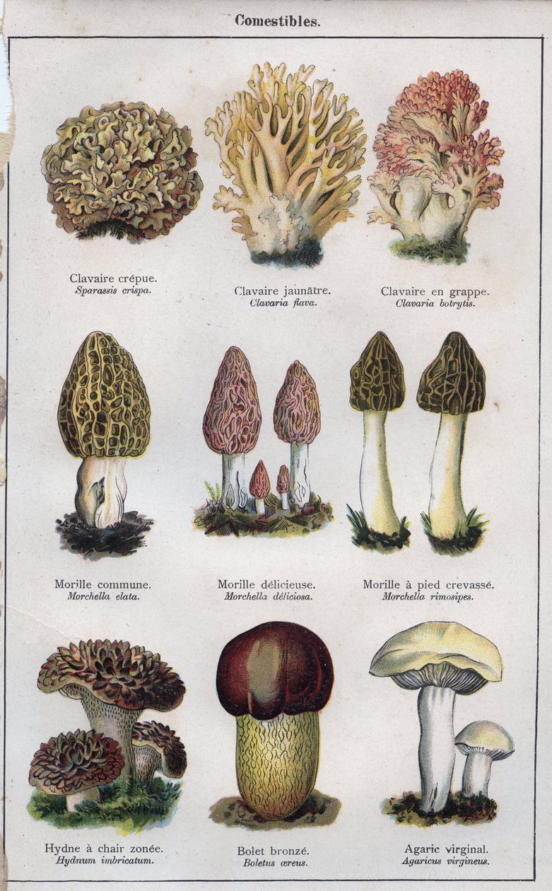 Illustration for 