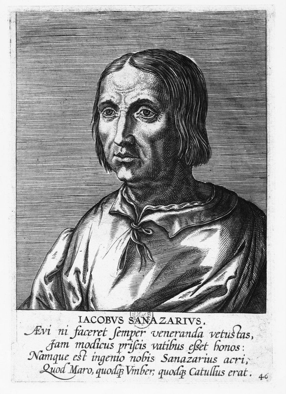 Jacopo Sannazaro (engraving) by French School
