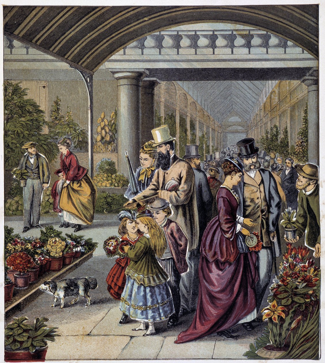 Garden of Flowers - in 