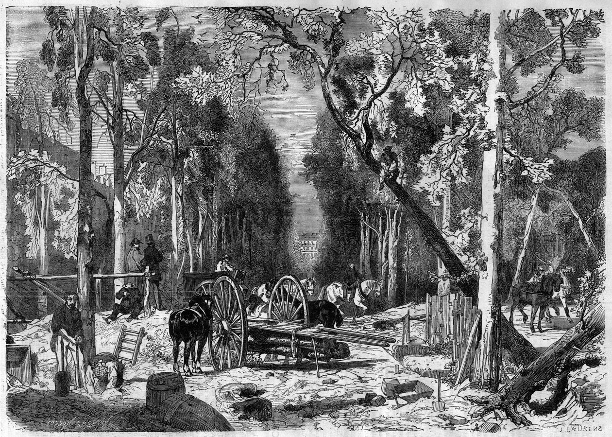 Le bucheron au jardin de Luxembourg in Paris in 1870 - Engraving from 1870 by French School