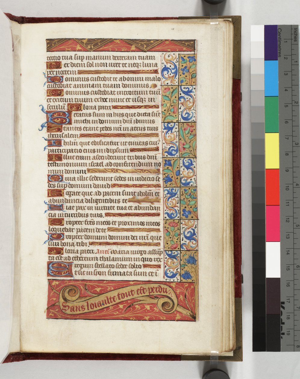 Decorated Text Page with the Motto Without Loyalty All is Lost by French School
