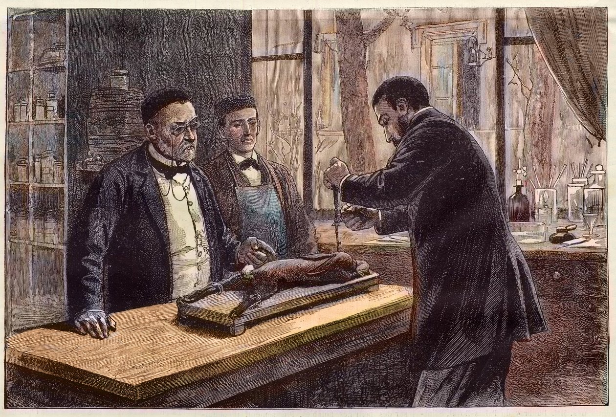 Louis Pasteur experimenting on a chloroformed rabbit during his search for a cure for rabies by French School