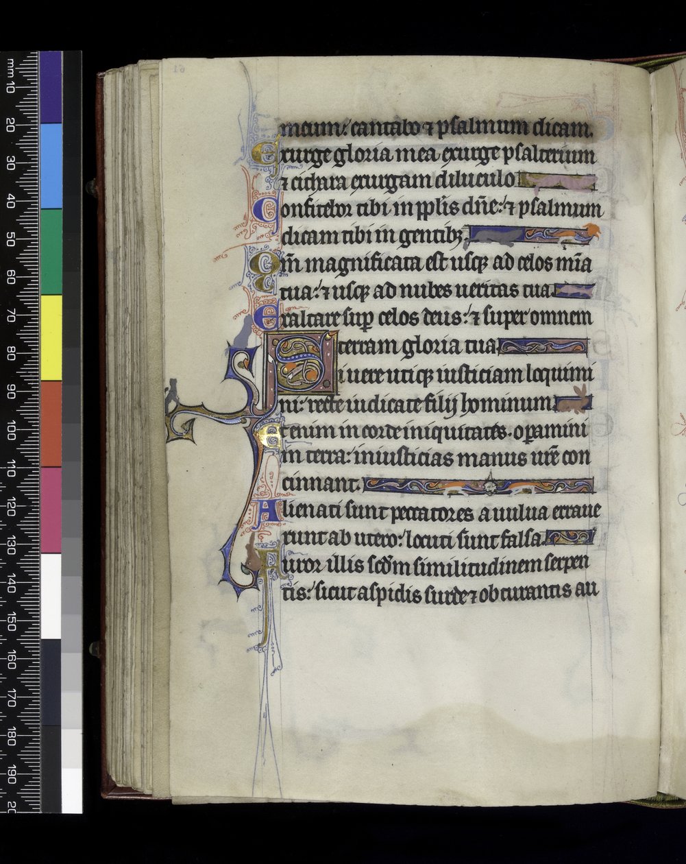 Folio from the Psalter and Hours of Isabella of France by French School