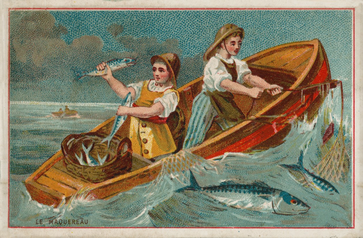 Mackerel by French School