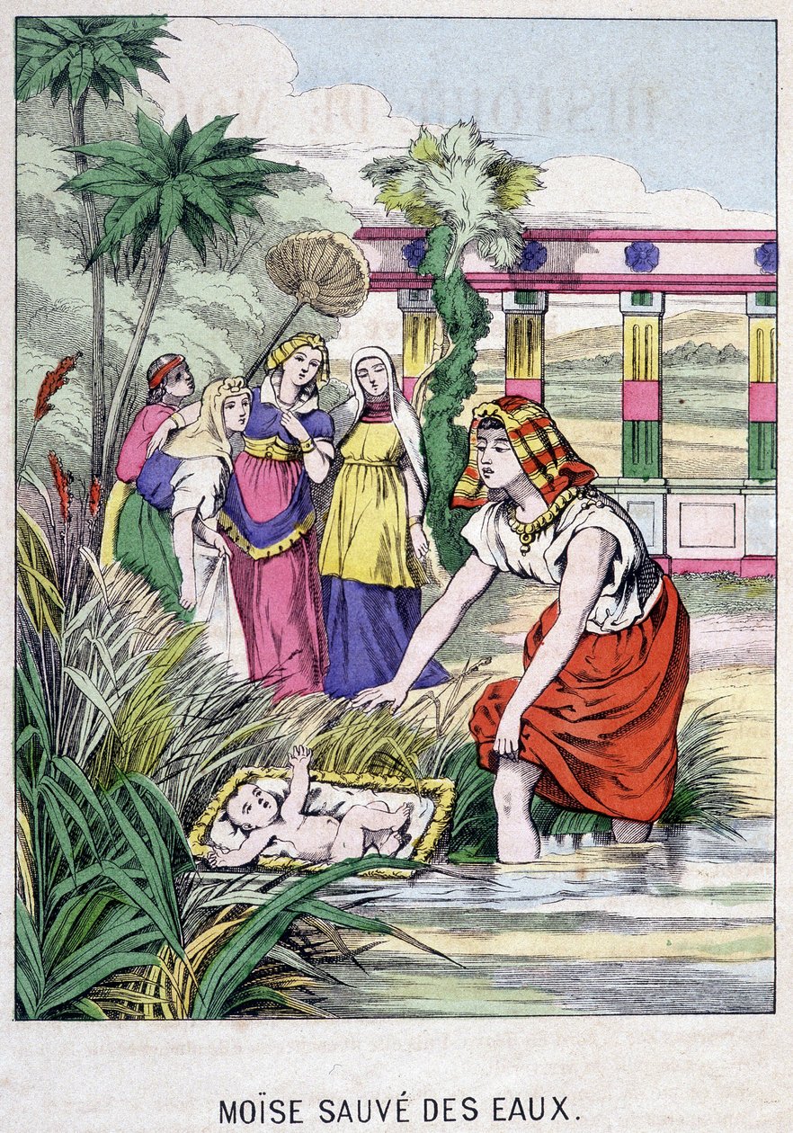Moses Saved from the Waters - in 