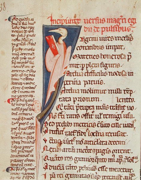 A bird holding a book by Gilles de Corbeil from 