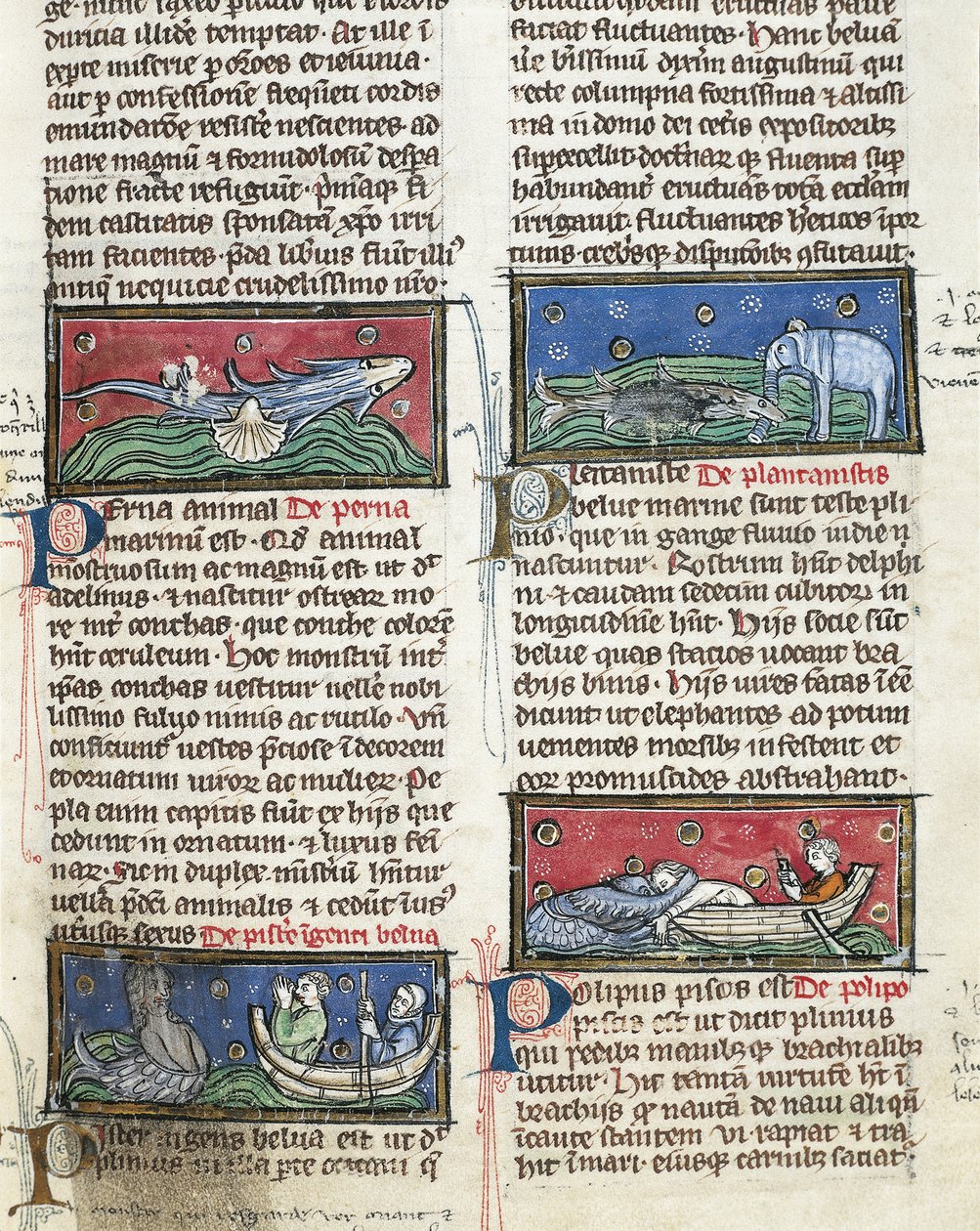 Sea Monsters, from 