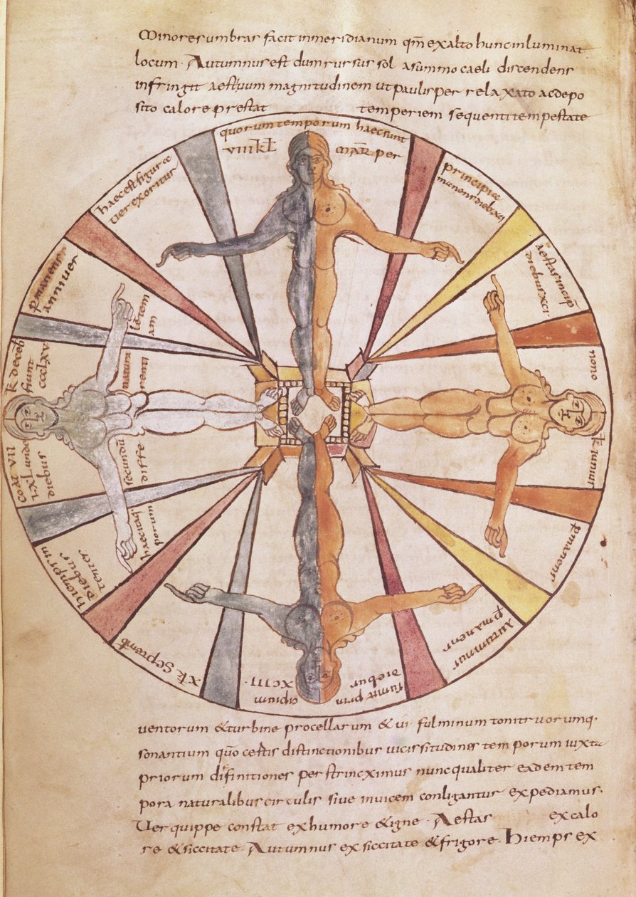 Wheel of the Seasons and Months, from De Natura Rerum by St. Isidore of Seville by French School