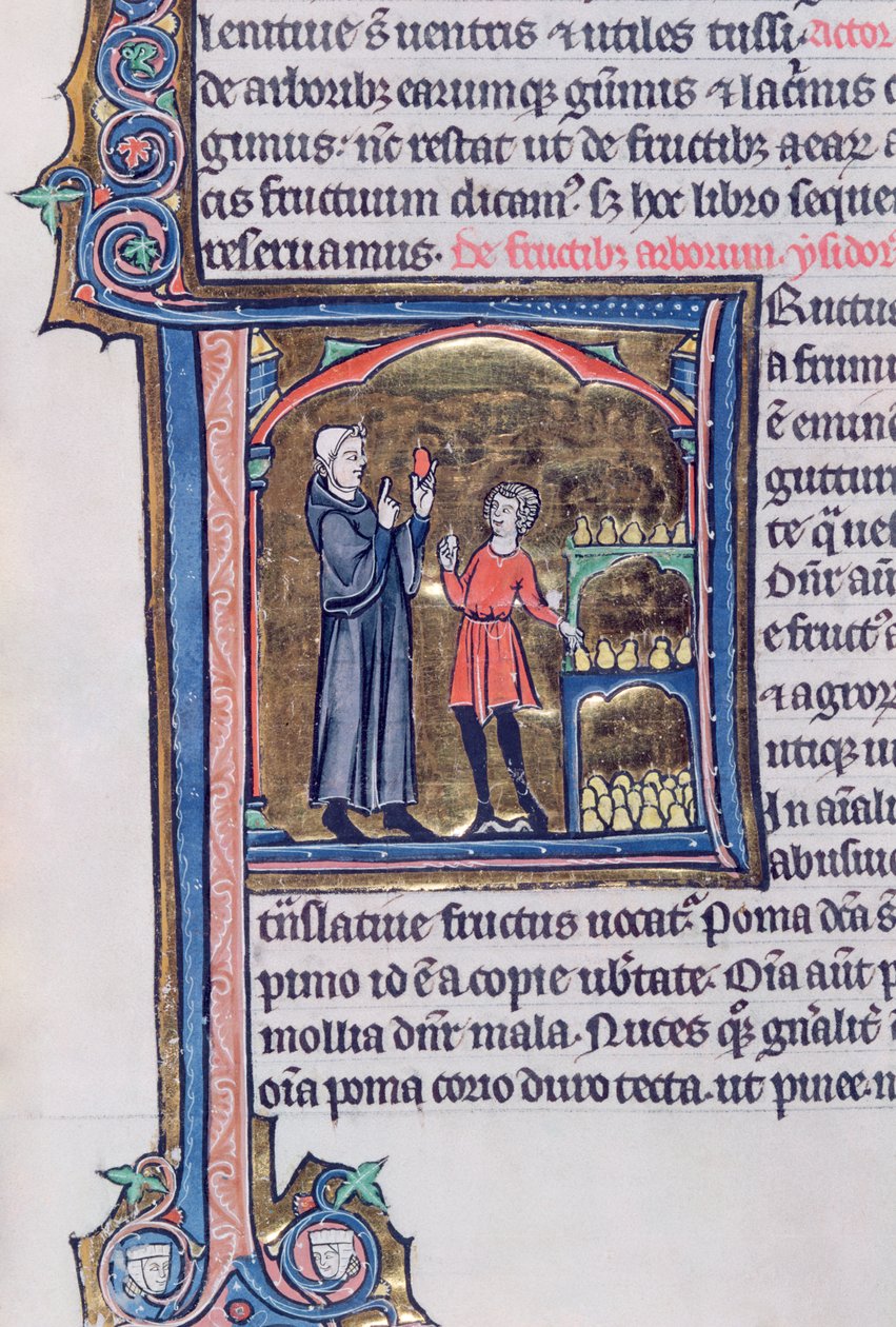 Teaching the best way of preserving pears, from Le Miroir de la Nature by Vincent de Beauvais by French School