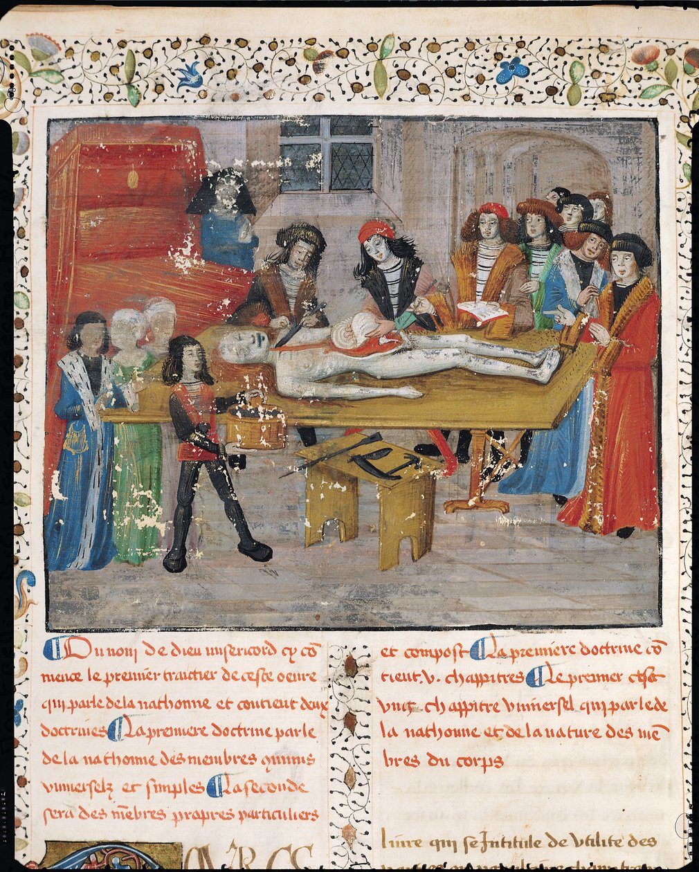 Dissection lesson at the Faculty of Medicine in Montpellier, from 