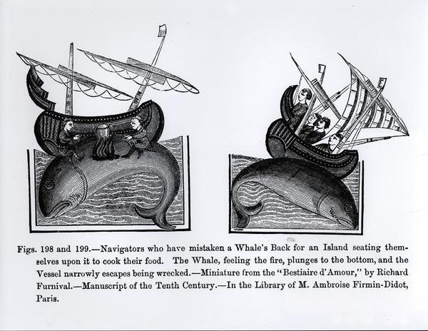 Navigators who have Mistaken a Whale