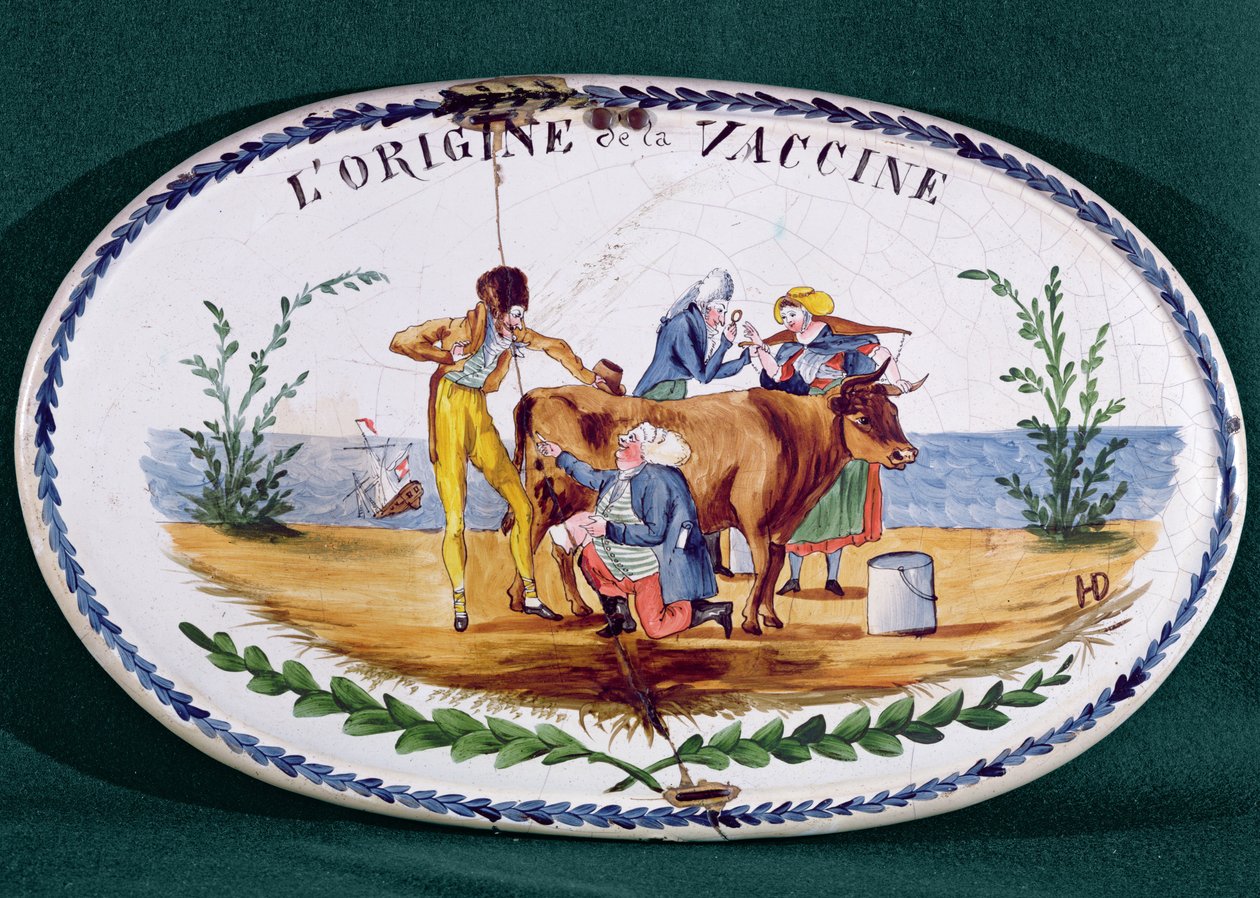Plaque depicting The Origin of Vaccination by French School
