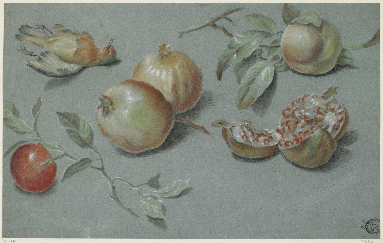 Pomegranates and Dead Bird, Early 19th Century by French School