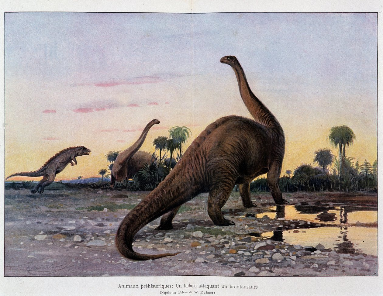 Prehistoric animals: a laelaps attacking a brontosaurus - in The Universe and Humanity by French School