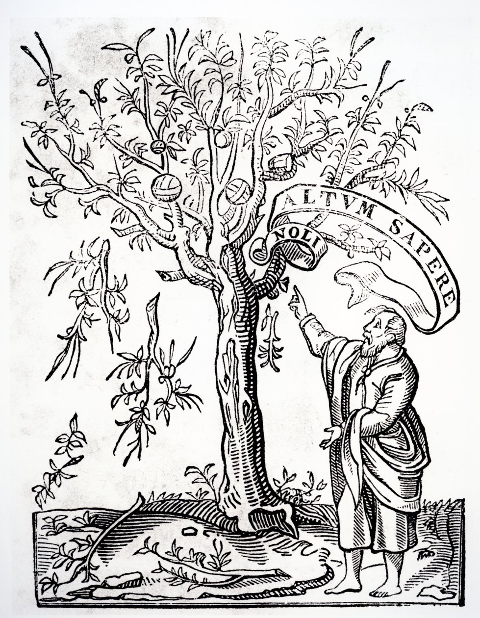 Printers Emblem of Robert Estienne, Paris, 1526 by French School