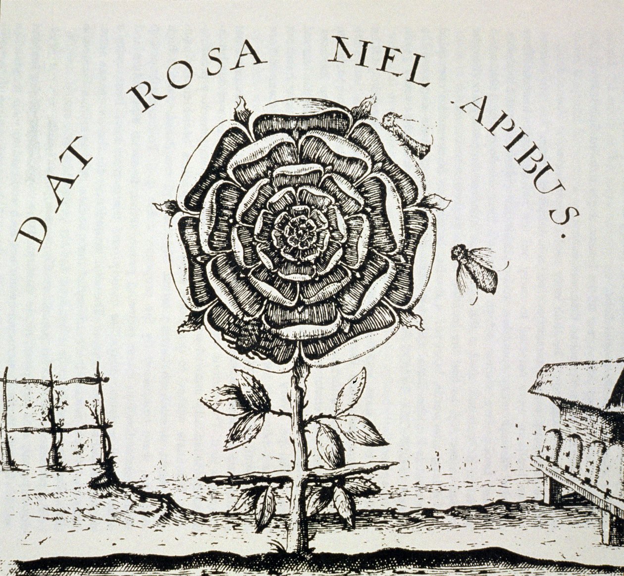 Rosicrucian Allegory, copy of an engraving by Johann Theodore de Bry (c.1598), used in a History of Magic, published late 19th century by French School