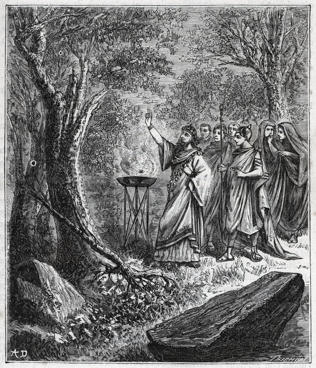 STRUFERTARI (festival in ancient Rome to purify the blasted trees) - Engraving in Sciences brought to the grasp of all - popular physics and chemistry by Alexis Clerc - End of 19th century. Private collection. by French School