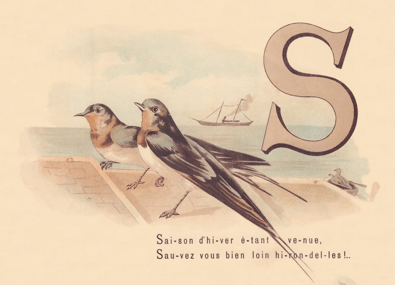 S: Winter season having come, Save yourself far away swallows! by French School