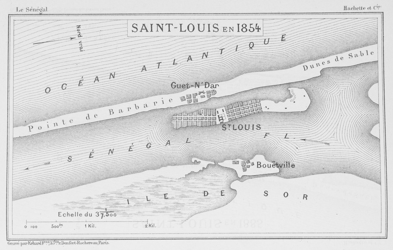 Saint-Louis in 1854, illustration from 