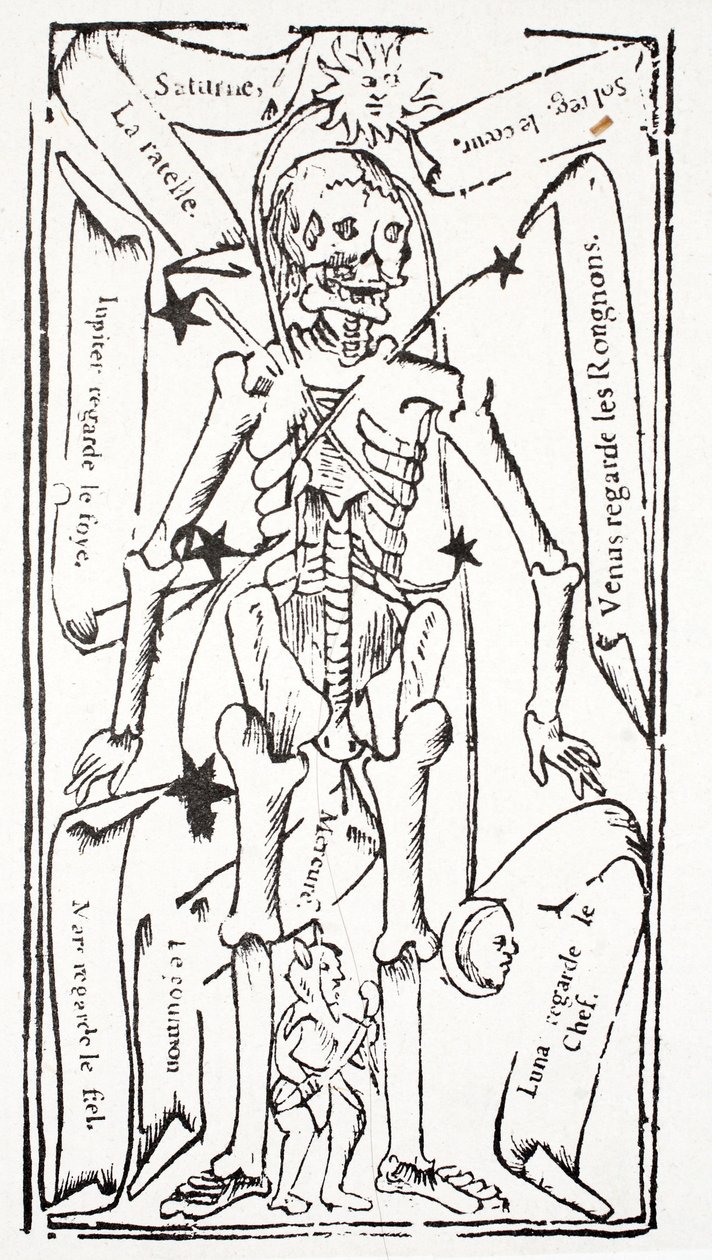 Skeleton with Signs of the Zodiac by French School