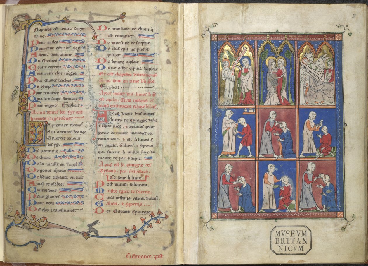 The Chirurgia: Biblical and Medical Scenes by French School