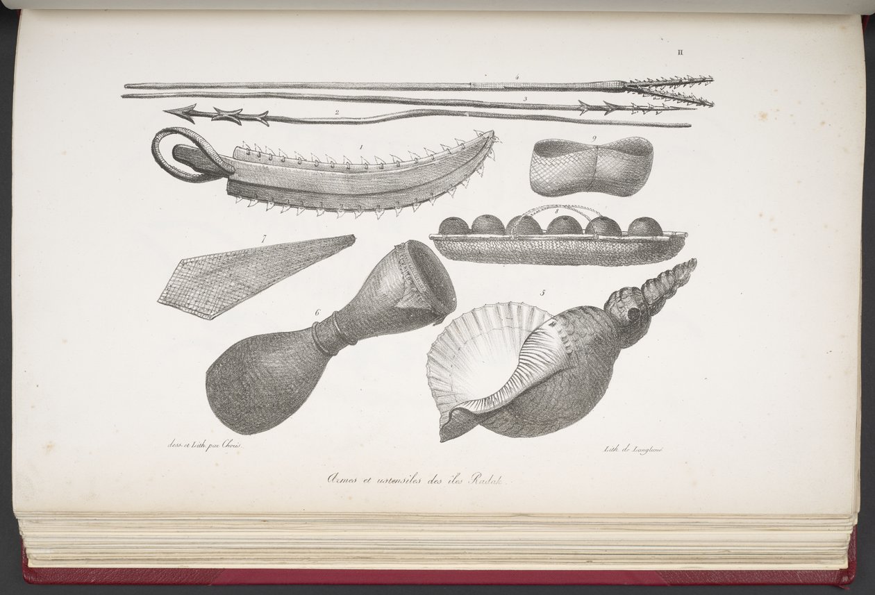 Spears and Utensils of the Island of Radak, from 
