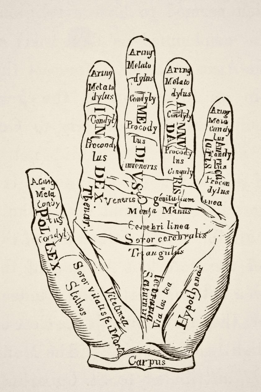 Specimen of the Left Hand with the Lines and Their Horoscopic Denominations, from 