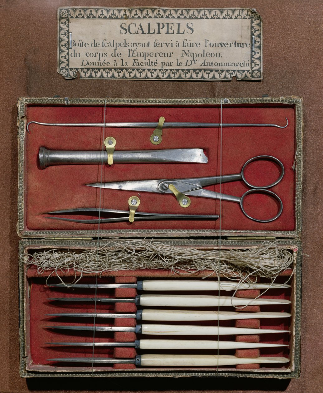 Surgical instruments used for the dissection of Emperor Napoleon I by French School