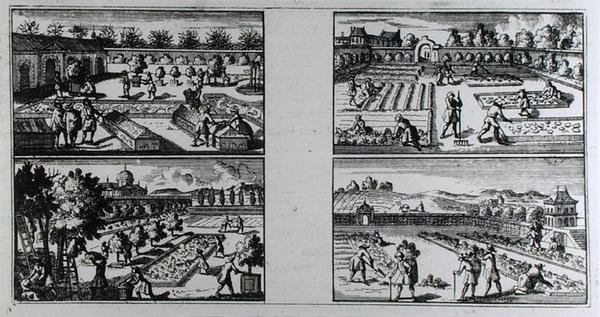Tending a garden, from 