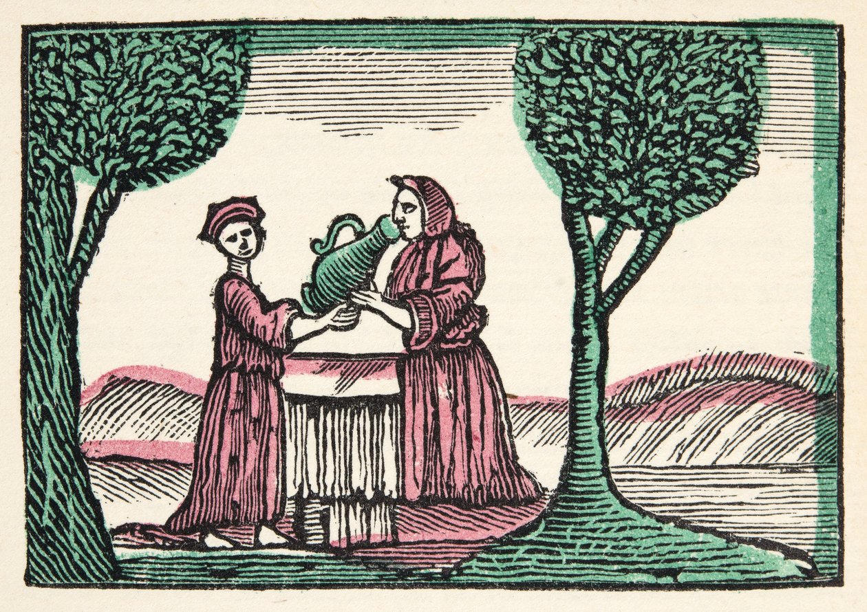 The Fairy from Histories or Tales of Past Times Told by Mother Goose, With Morals, by M. Perrault, pub. 1925 (hand coloured woodblock print) by French School