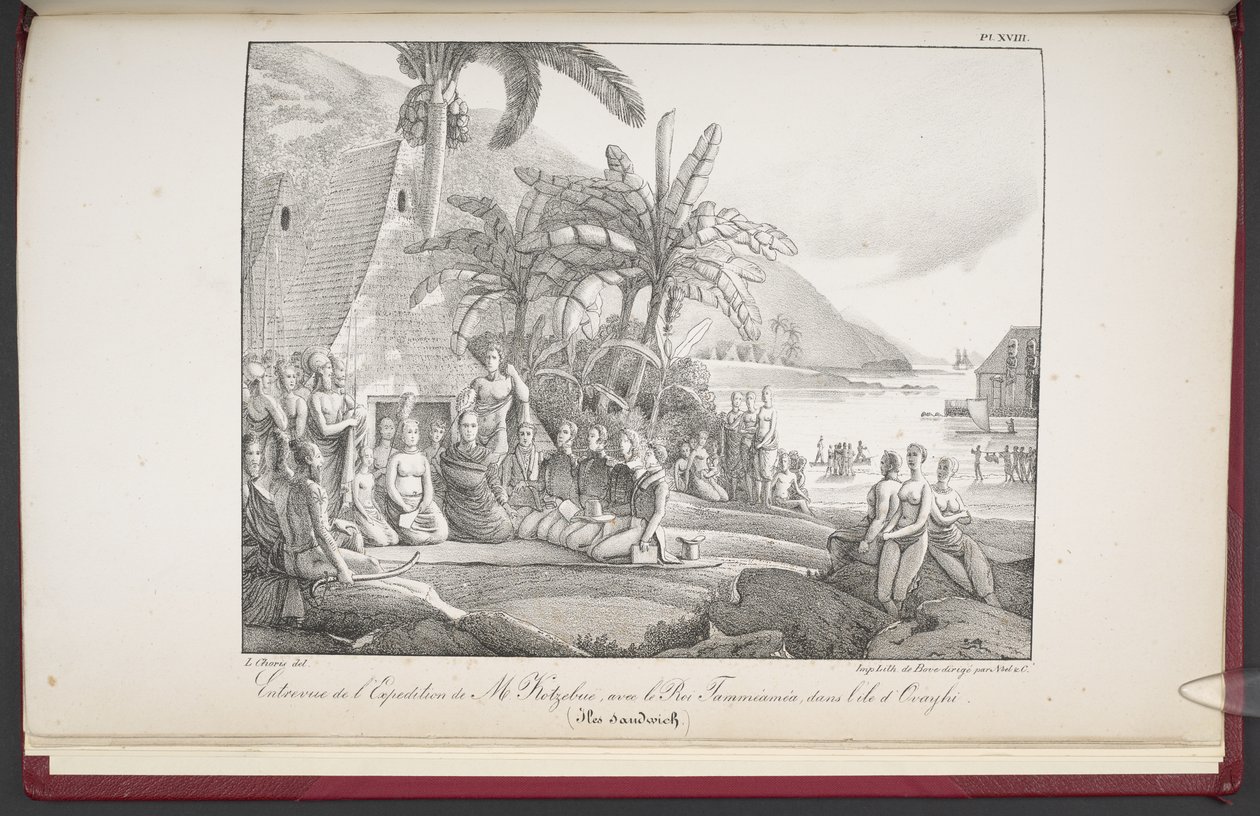The Sandwich Islands, Interview of Mr. Koebruë