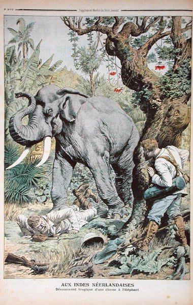 The Tragic End of an Elephant Hunt in India by French School