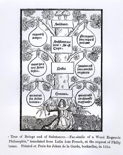 The Tree of Beings and Substance, illustration from Science and Literature in The Middle Ages and Renaissance, written and engraved by Paul Lacroix, 1878 by French School
