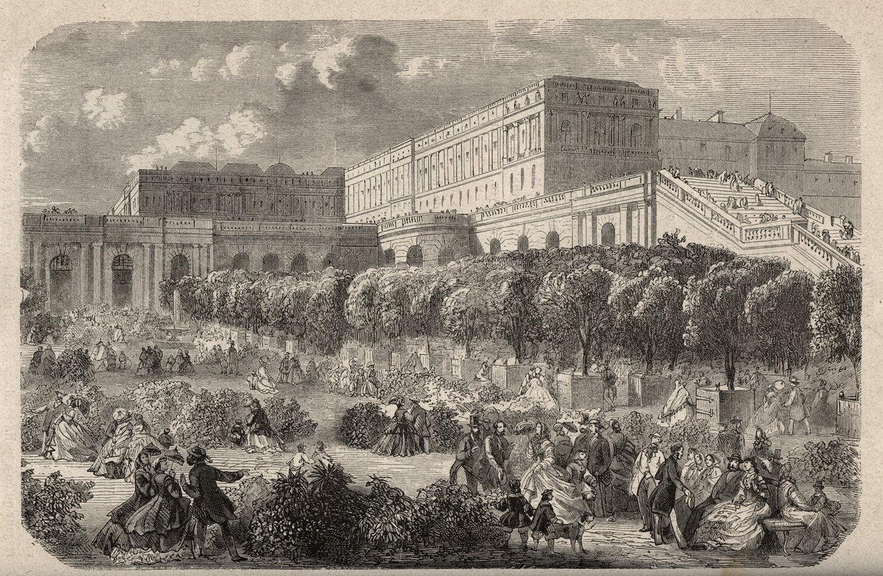 The Versailles Orangerie - Orangerie du chateau de Versailles - engraving in 