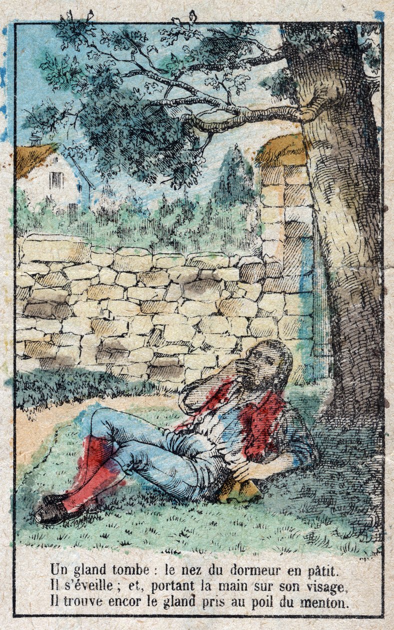 The acorn and the pumpkin. Fables by Jean de La Fontaine by French School