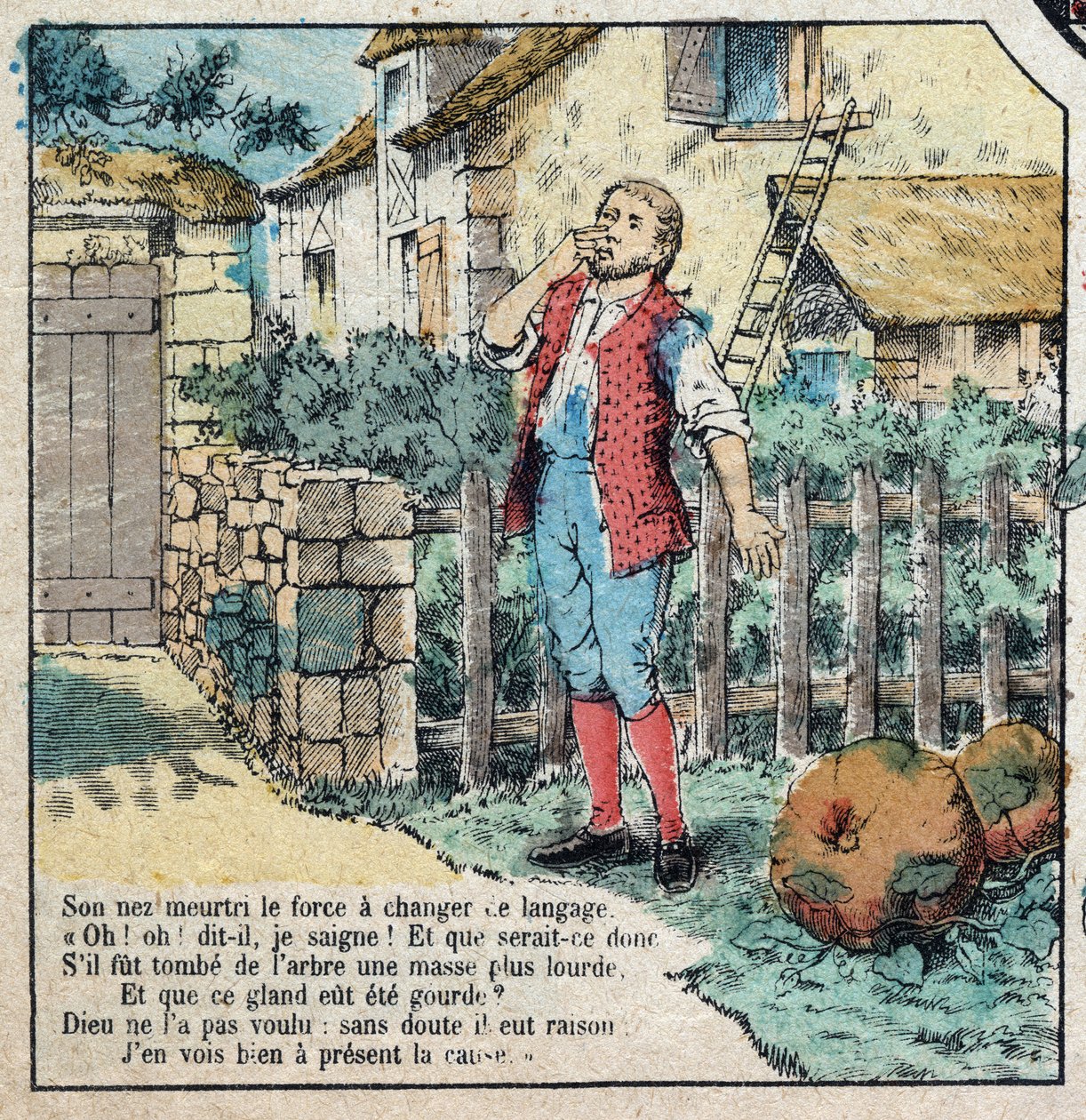 The acorn and the pumpkin. Fables by Jean de La Fontaine (1621-95). Imaging of Epinal from the end of the 19th century. by French School