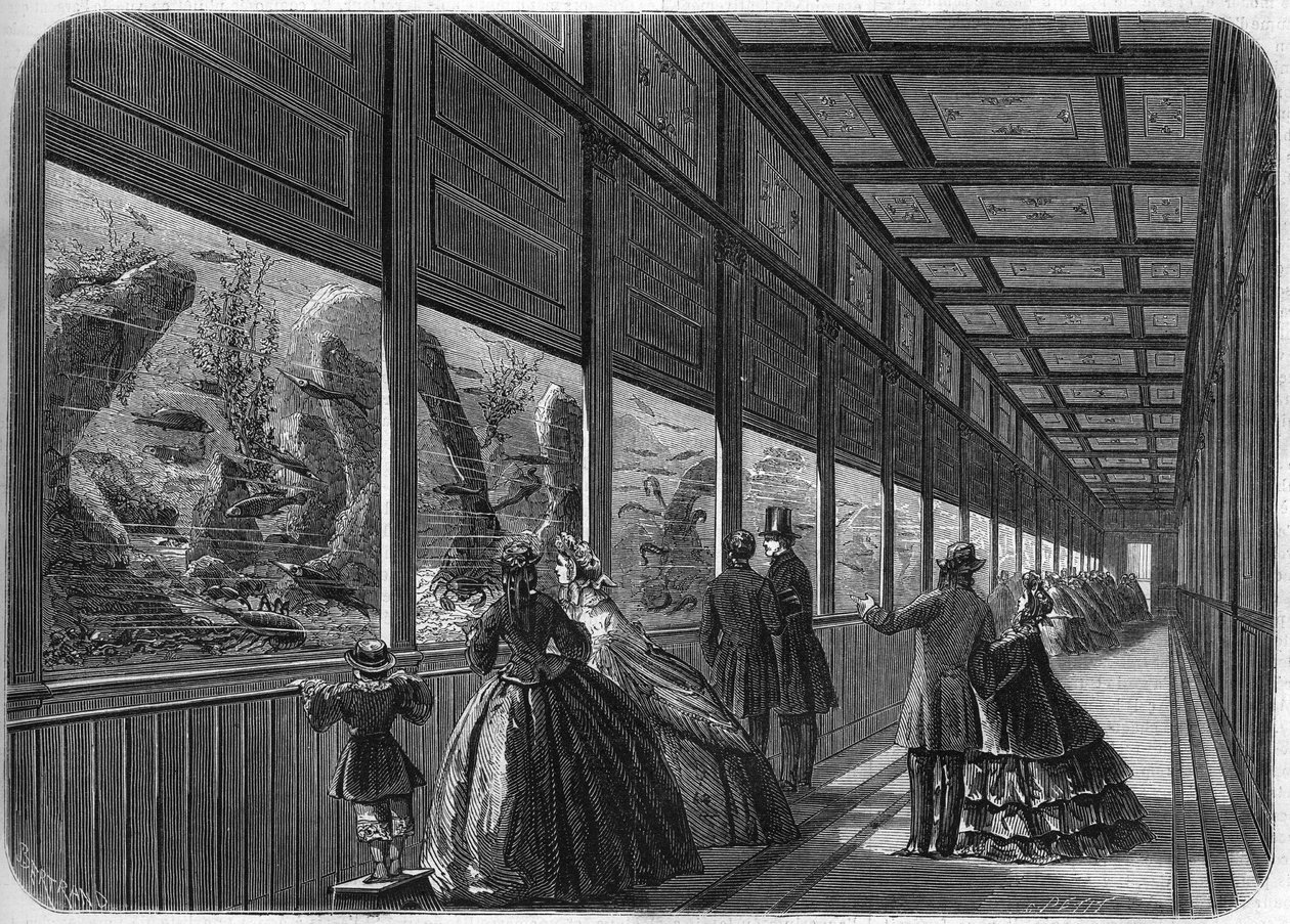 The aquarium of the Paris acclimatization garden in 1863 by French School
