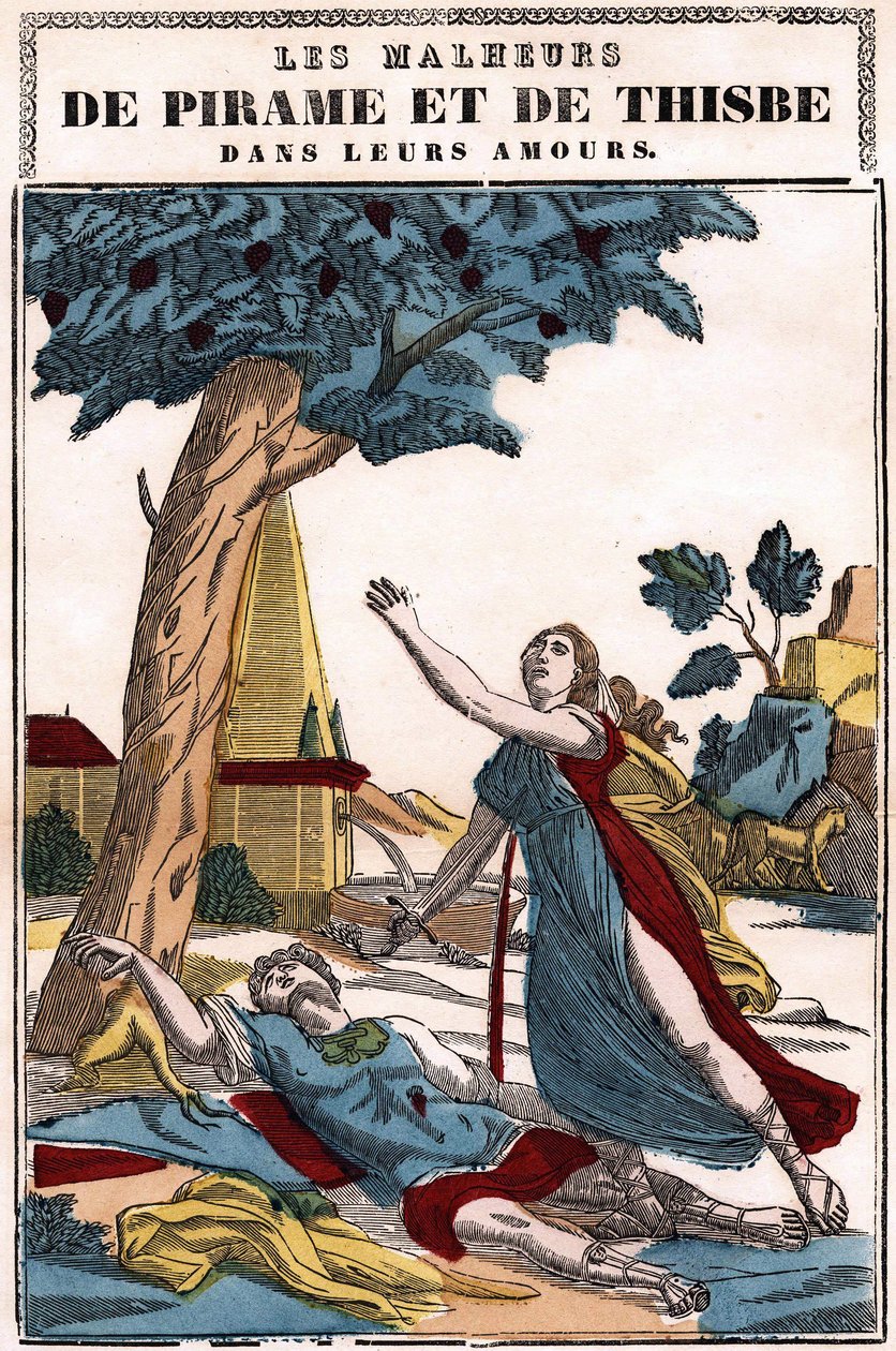 The Misfortunes of Pyramus and Thisbe in Their Love, Told by Ovid in 