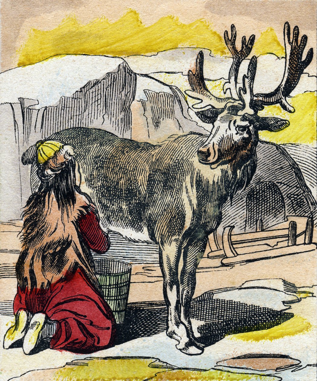 The Reindeer Being Milked (Engraving in "Buffon Alphabet des Animaux") by French School