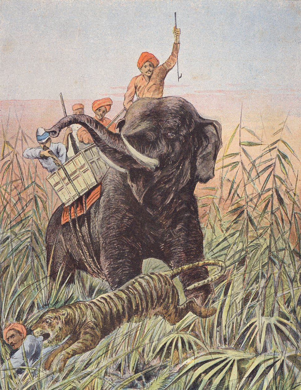 Tiger Hunt, India by French School